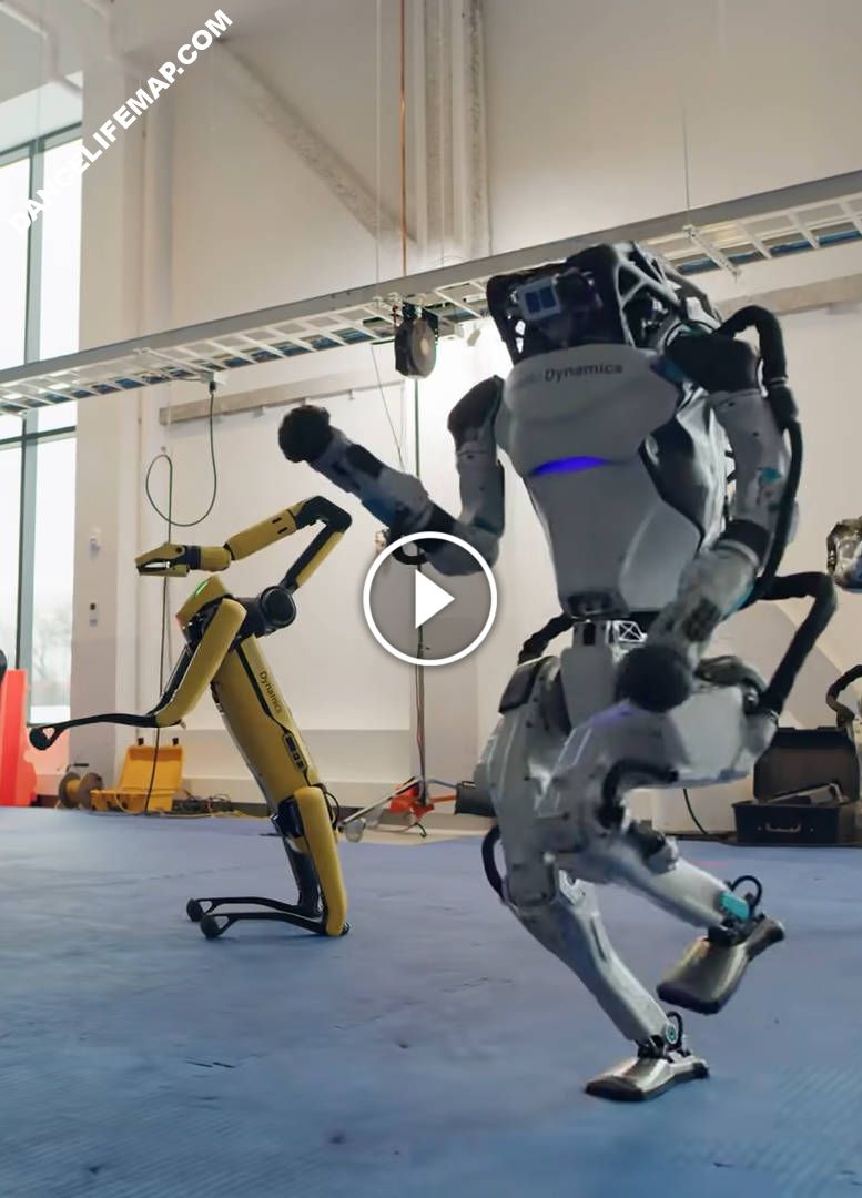 Awesome Dancing Robots from Boston Dynamics | DanceLifeMap
